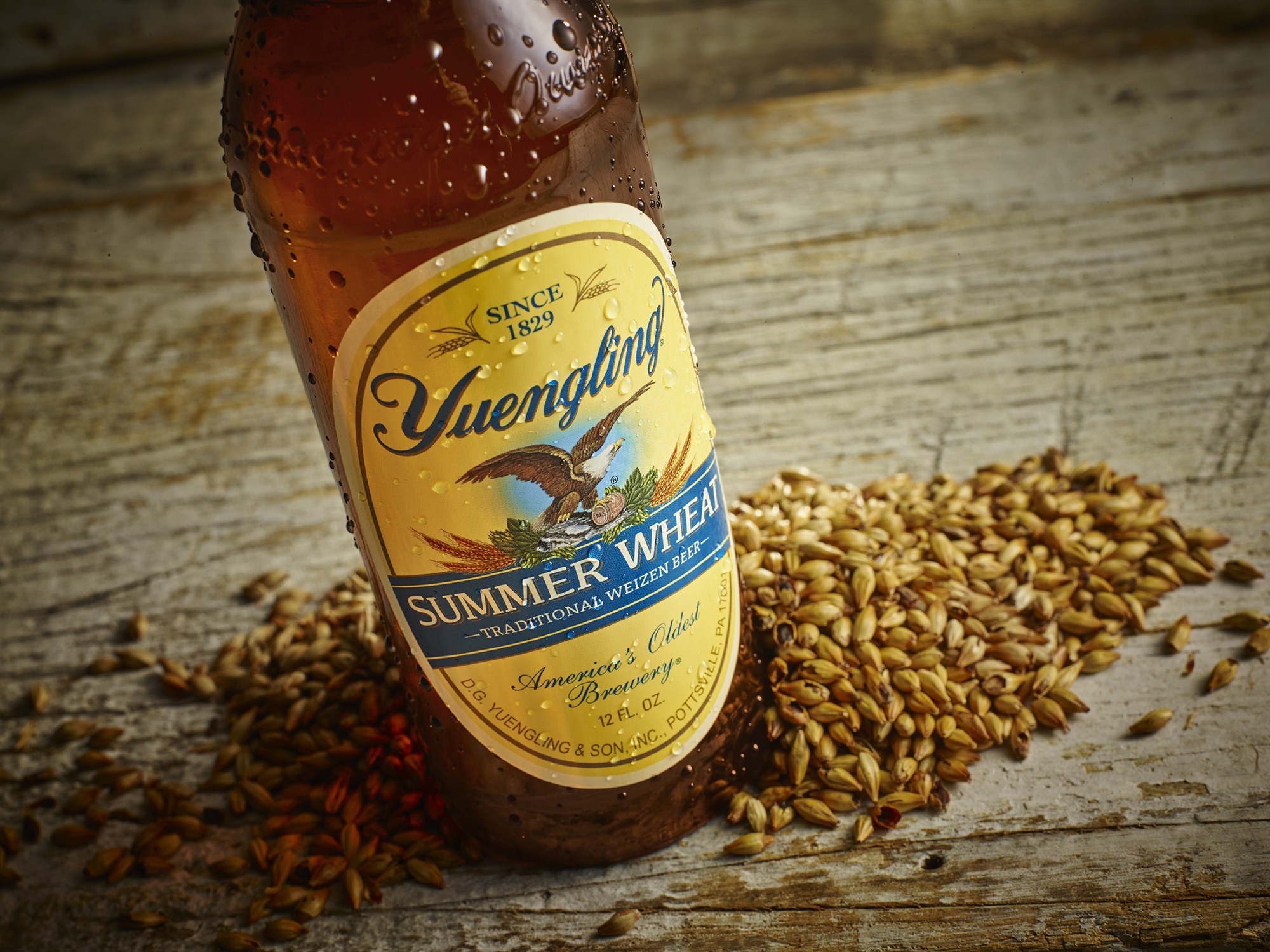 Summer Wheat